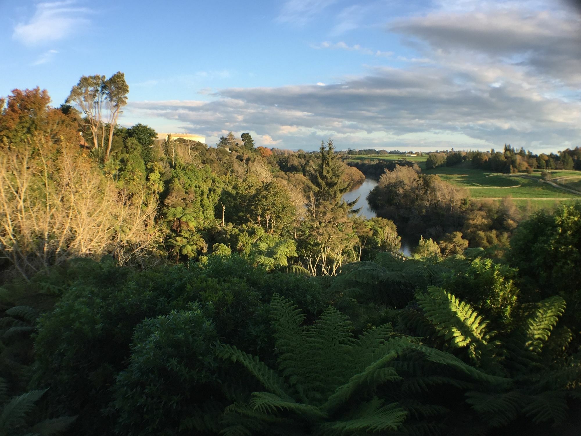 Luxury Country Views In Riverlea هاملتون المظهر الخارجي الصورة
