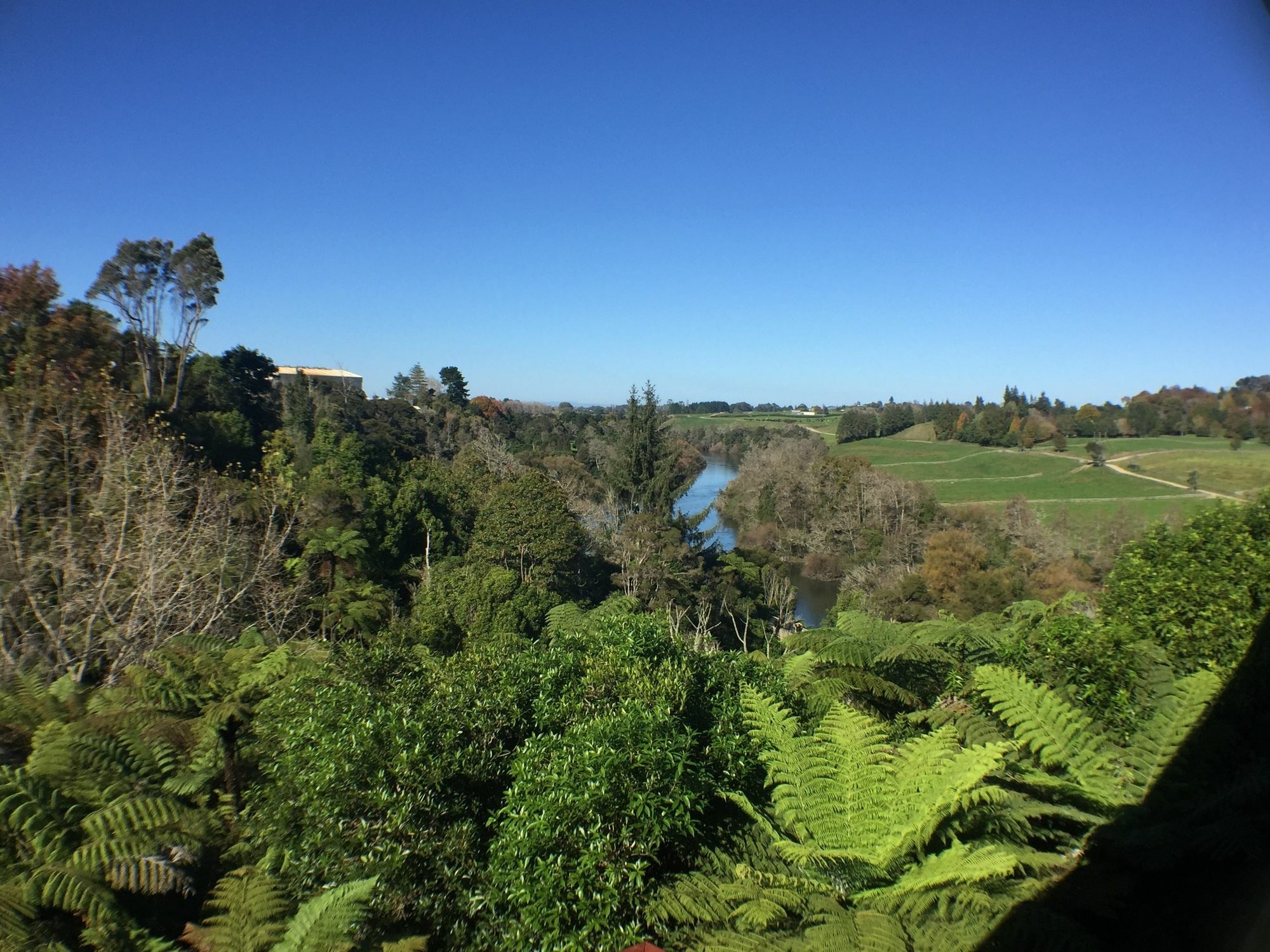 Luxury Country Views In Riverlea هاملتون المظهر الخارجي الصورة